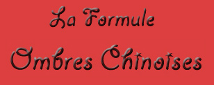 Formule d'animation d'ombres chinoises pour anniversaire d'enfants